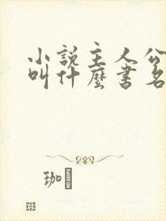 小说主人公杨洛叫什么书名封面