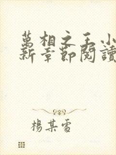 万相之王小说最新章节阅读封面