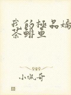 我的极品娇妻抹茶鲱鱼封面