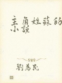 主角姓苏的都市小说