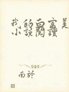 我的白富美老婆小说阅读封面