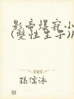 影帝爆宠小骚妻(双性生子)h