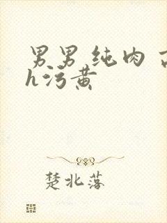 男男 纯肉 高h污黄封面