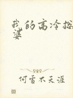 我的高冷总裁老婆