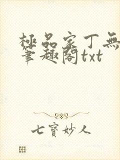 极品家丁无删节笔趣阁txt
