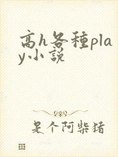 高h各种play小说