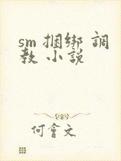 sm 捆绑 调教 小说