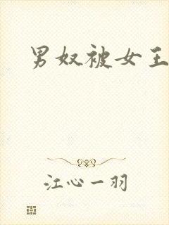 男奴被女王调教封面