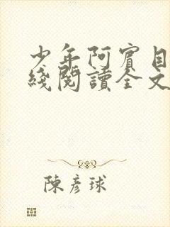 少年阿宾目录在线阅读全文封面