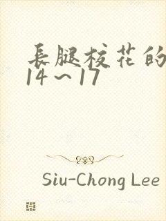 长腿校花的呻吟14～17