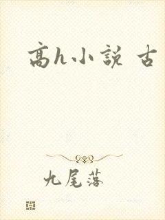 高h小说 古言
