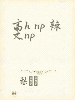 高h np 辣文np