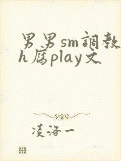 男男sm调教高h腐play文