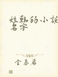 姓韩的小说女主名字封面