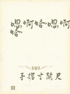 嗯啊哈嗯啊嗯啊哈封面