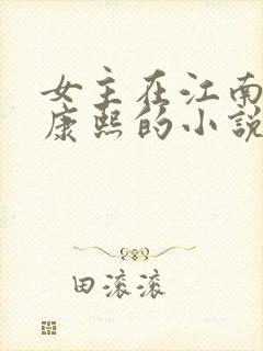女主在江南遇到康熙的小说