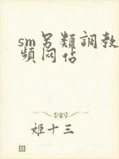 sm另类调教视频网站