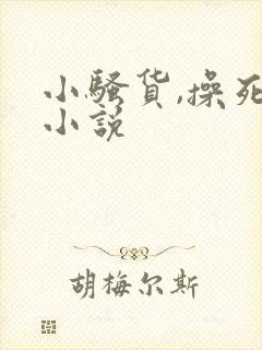 小骚货,操死你小说