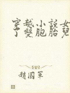 穿越小说女主生了双胞胎儿子