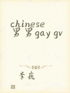 chinese男男gay gv封面