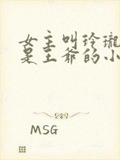 女主叫玲珑男主是王爷的小说