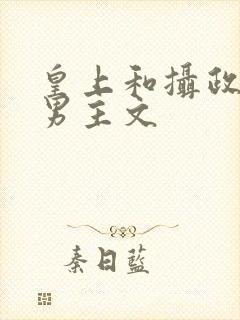 皇上和摄政王双男主文