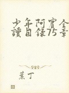 少年阿宾全文阅读目录75章笔趣阁