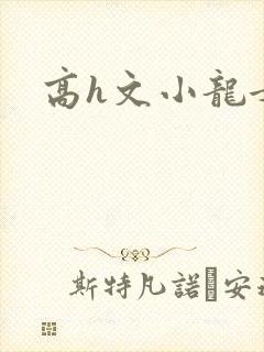 高h文小龙女