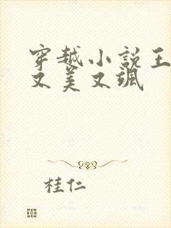 穿越小说王妃她又美又飒封面