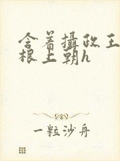 含着摄政王的紫根上朝h