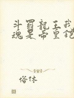 斗罗龙王我的武魂是帝皇铠甲免费阅读封面