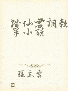 踏仙君调教楚晚宁小说