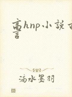高hnp小说古言