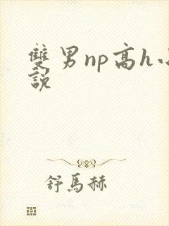 双男np高h小说封面