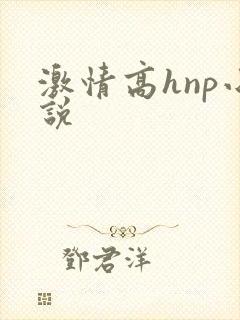 激情高hnp小说封面