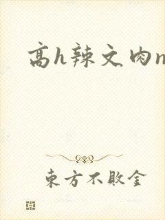 高h辣文肉np