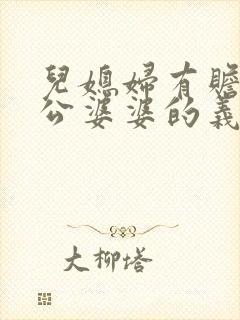 儿媳妇有赡养公公婆婆的义务吗封面