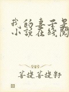 我的妻子是永美小说在线阅读