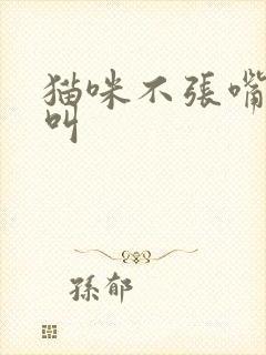 猫咪不张嘴嗯嗯叫