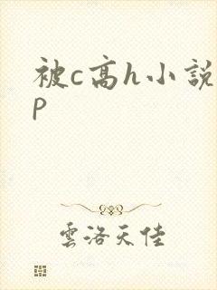 被c高h小说np