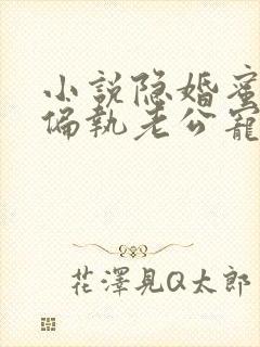 小说隐婚蜜爱:偏执老公宠上瘾在线观看封面