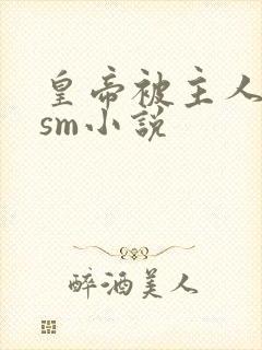 皇帝被主人调教sm小说