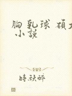 胸 乳球 硕大 小说封面