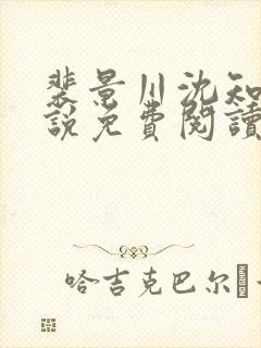 裴景川沈知意小说免费阅读最新章节