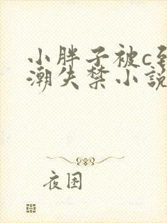 小胖子被c到高潮失禁小说