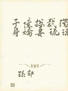 千亿总裁独宠替身娇妻 琉璃雪雪