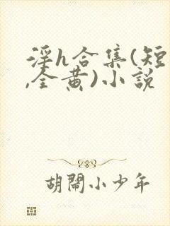 淫h合集(短篇,全黄)小说