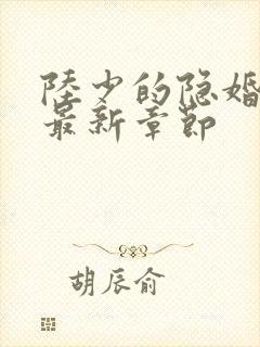 陆少的隐婚罪妻最新章节