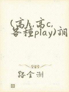 (高h,高c,各种play)调教h文