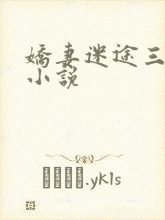 娇妻迷途三部曲小说